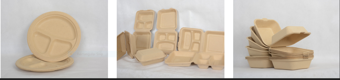 Research and Development (R&D) and manufacturing of biodegradable disposable tableware from banana fibers and bagasse